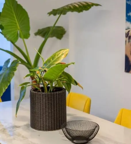 Holiday home Eden Heritage La Laguna (Tenerife)